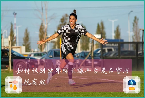 如何识别世界杯买球平台是否官方正规有效